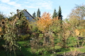 Herbst1.jpg